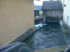 Mill3.JPG (11213 Byte)