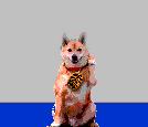 doggi.JPG (2727 Byte)