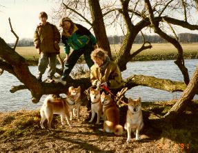 h912baum.JPG (23280 Byte)
